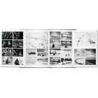 Sebastião Salgado. GENESIS XL