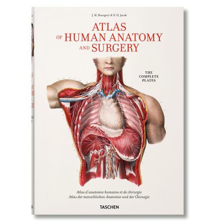 Bourgery. Atlas of Human Anatomy and Surgery XL